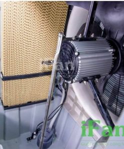Động Cơ quạt hơi nước ifan 20000a