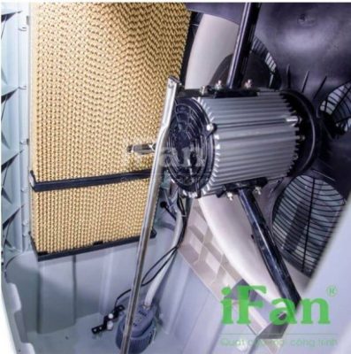 Động Cơ quạt hơi nước ifan 20000a