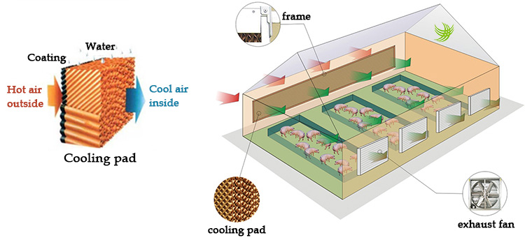 làm mát nhà xưởng bằng Cooling Pad