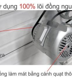 Quạt hút dạng loa chuyển động gián tiếp IFAN-C